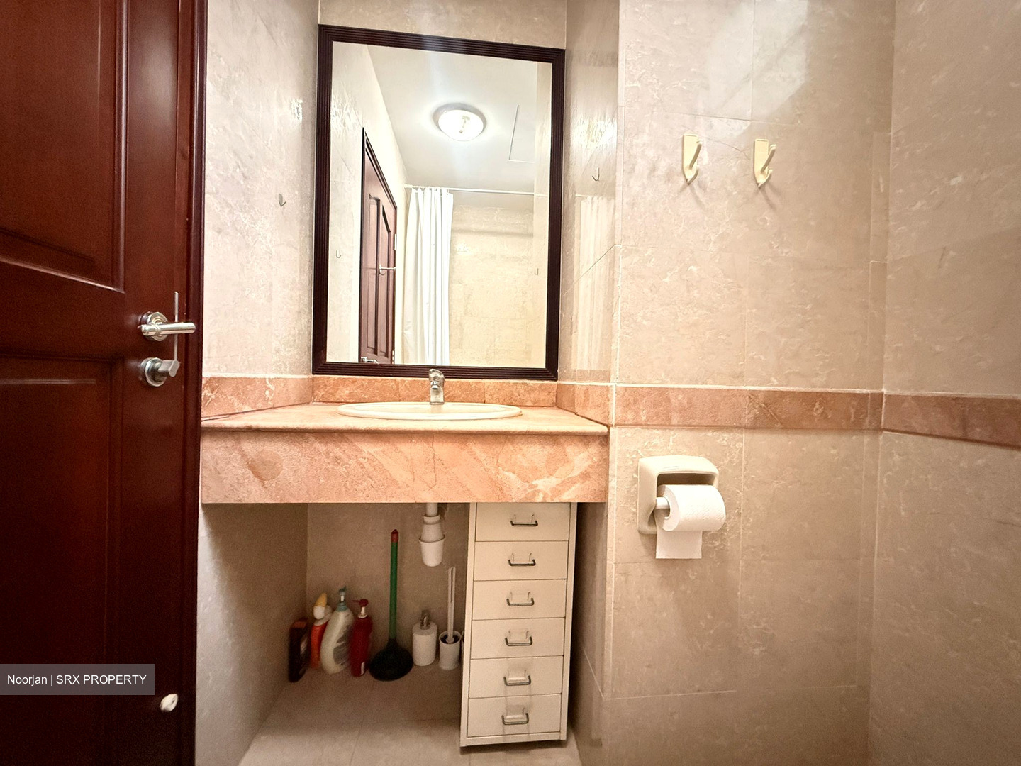 Tanglin Regency (D10), Condominium #613458071